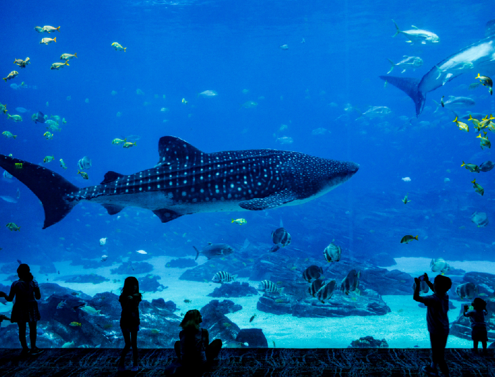 水族館様でオリジナルボールペンを制作しました！